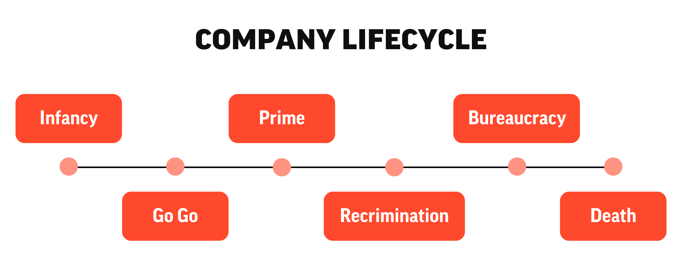 Companies Lifecycle
