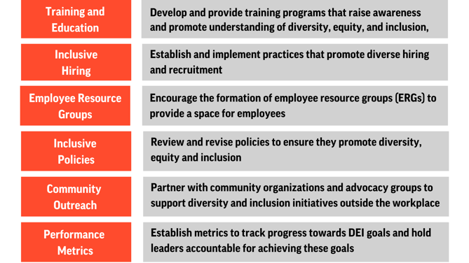 DEI Strategy Examples