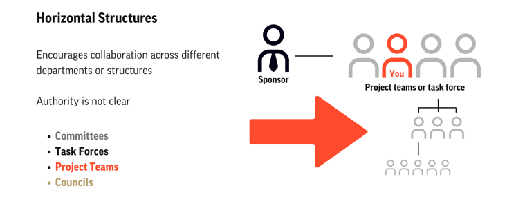 Horizontal Structures RACI Matrix - 1