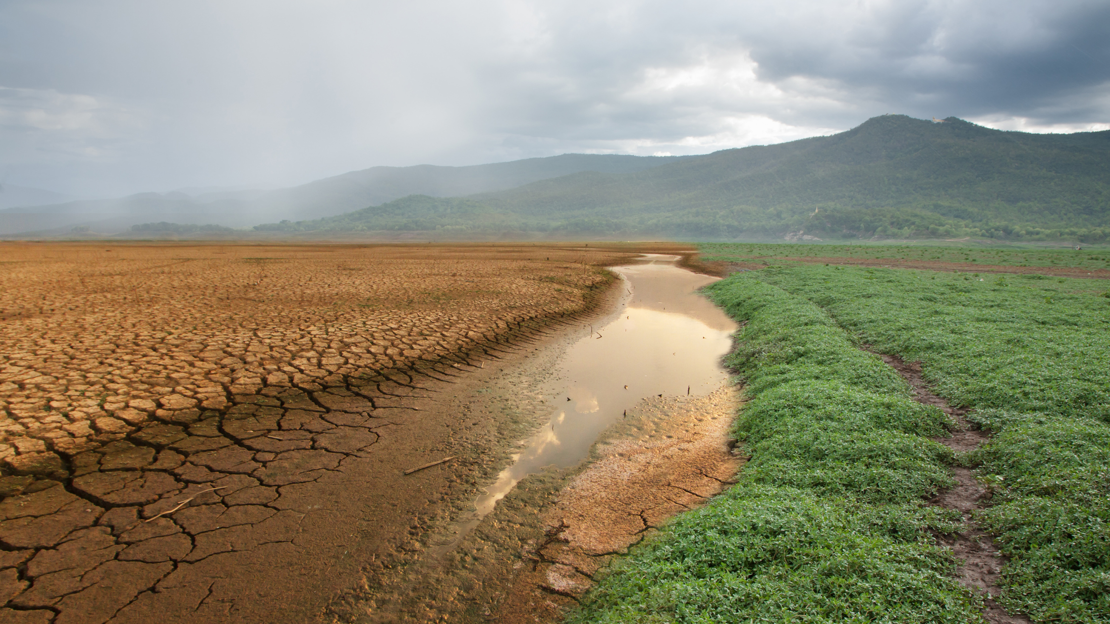 Climate Change